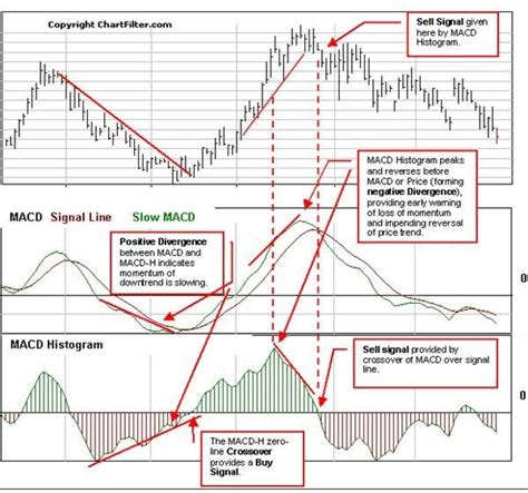 Moving Average Convergence Divergence, Movement (MOVE), Market Depth
